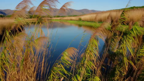 river scene with reeds and mountains