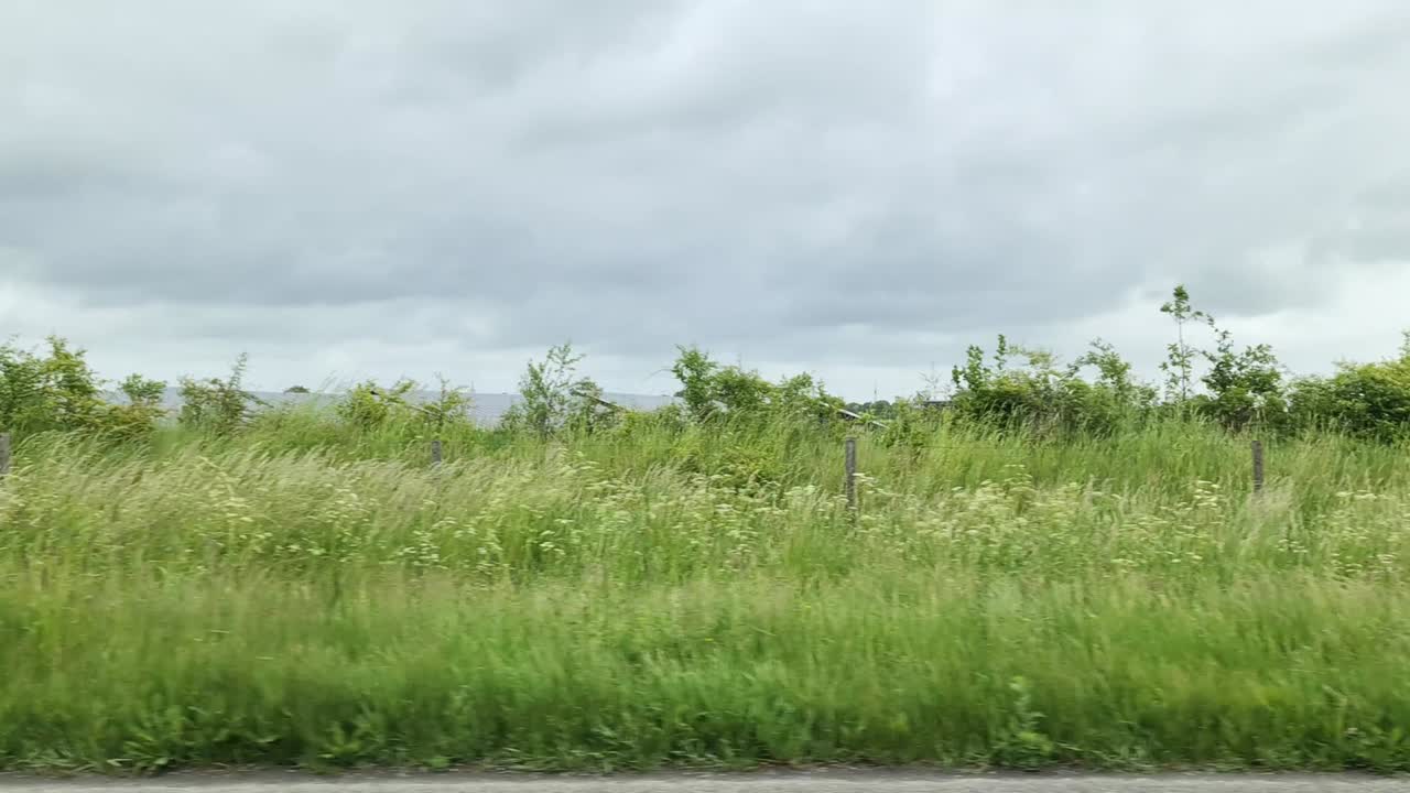 View from the side window of a moving car of green fields and meadows in the dyke country of the North Sea.