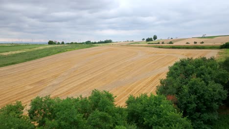 Flying-Towards-Golden-Field-With-Heart-Shape-Pattern---Drone-Shot