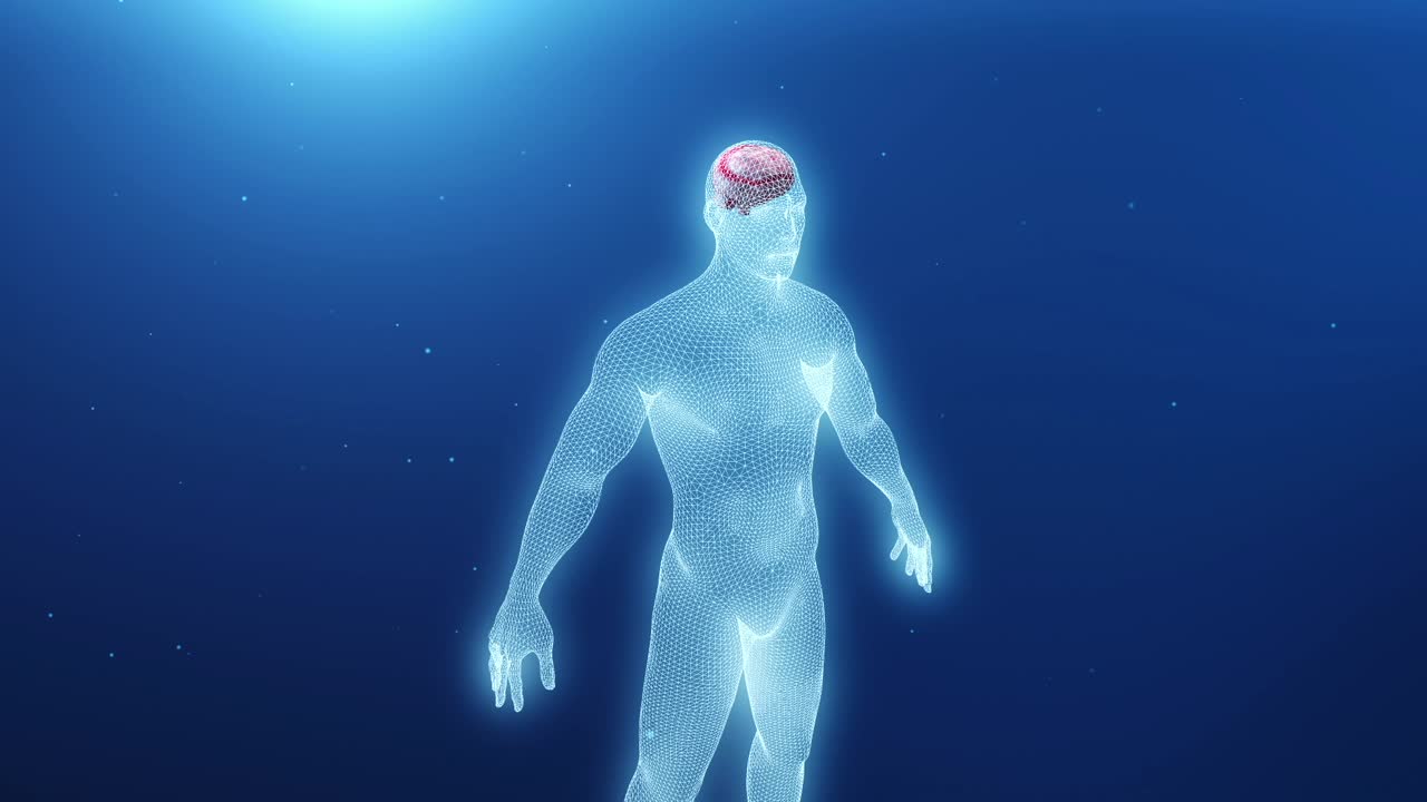 Human Brain Wireframe