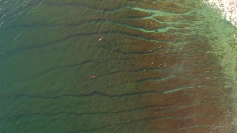 surfistas sobre arrecifes de coral en la bahía de indonesia