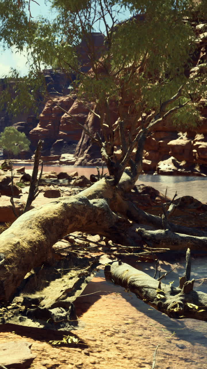 Sponda serena del fiume con alberi rigogliosi e formazioni rocciose nella luce pomeridiana