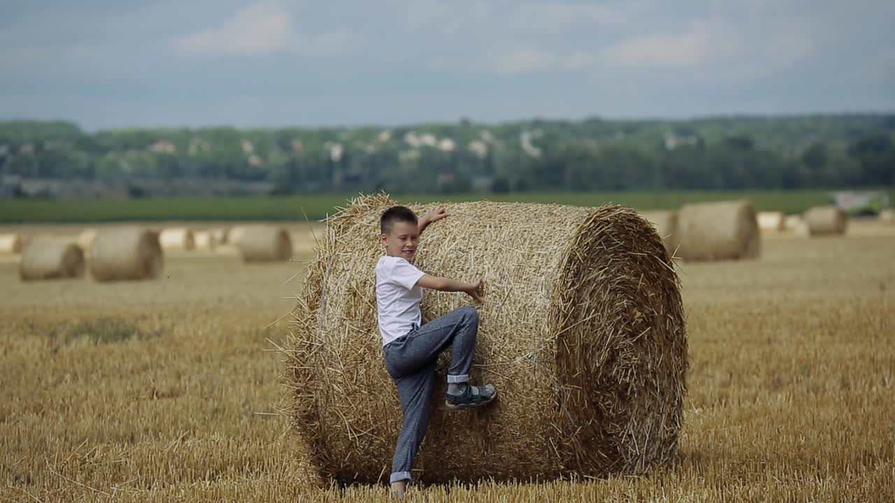Bambino che cammina nel campo. Adorabile bambino in età prescolare che cammina felicemente nel campo