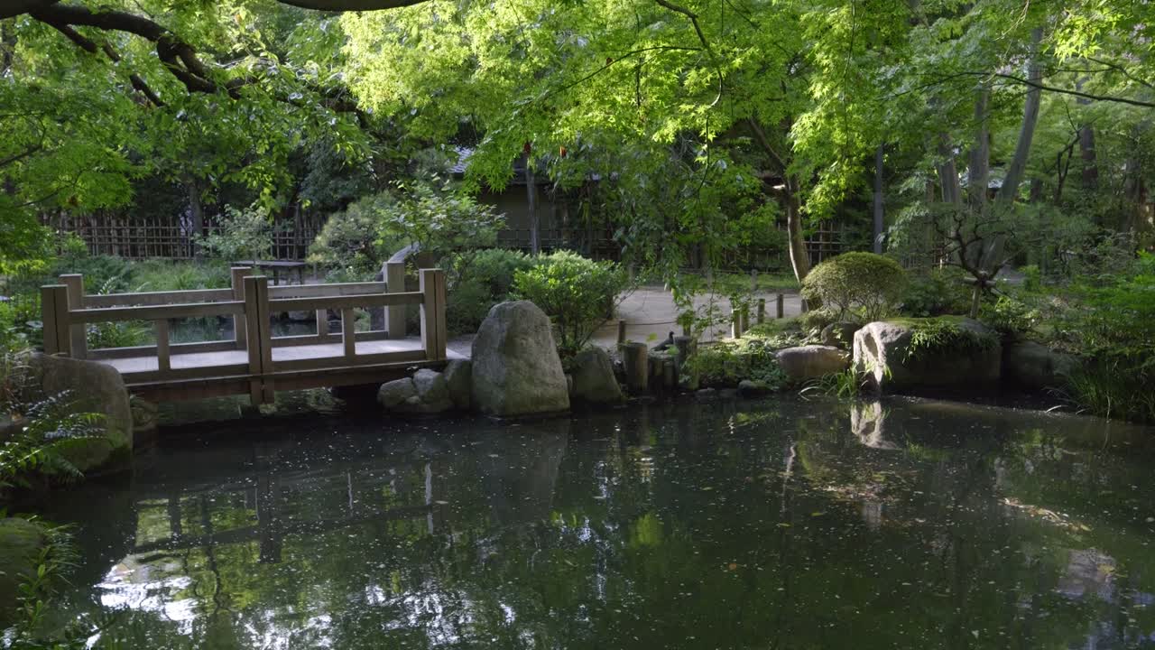 A serene garden with a pond and wooden bridge