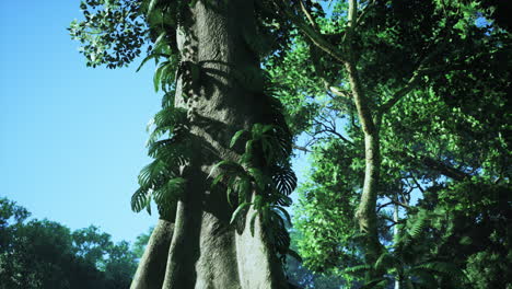 a lush jungle with tall trees and green leaves