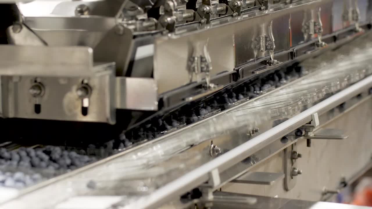 블루베리 가공 및 포장 공장