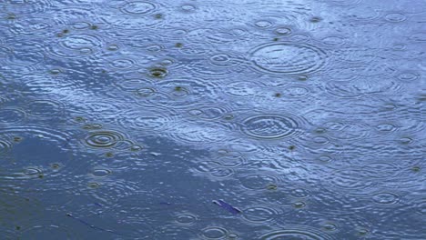 Poca-Lluvia-En-La-Superficie-Del-Agua,-El-Agua-Es-Azul