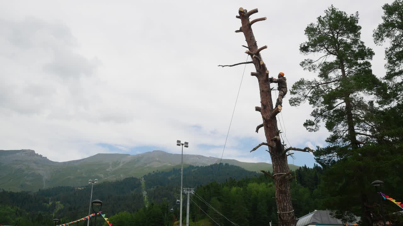 산악 지역 에서 나무 를 잘라내는 일
