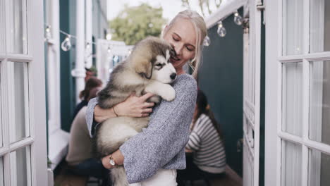 mi husky, mi corazón