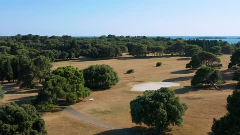 meadows and forest in a golf course on brijuni national park during summer in croatia