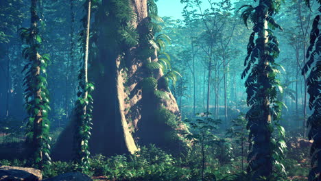 tranquil jungle scene