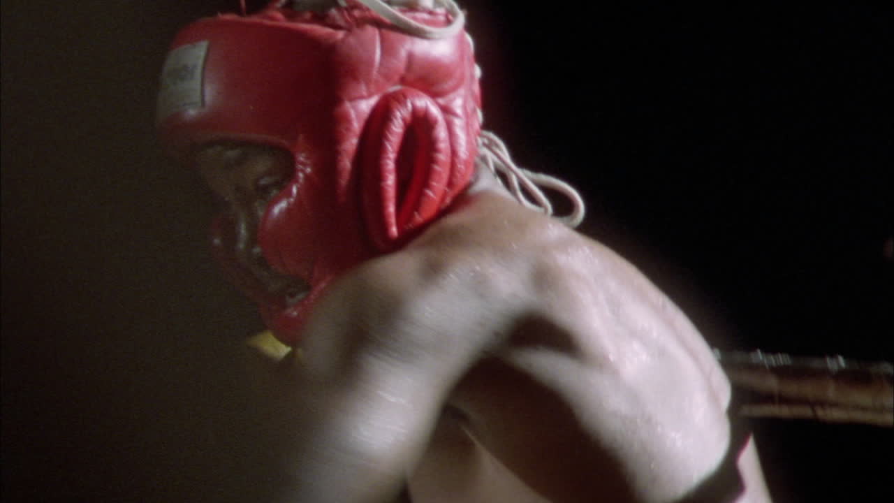 dos boxeadores luchando en un ring