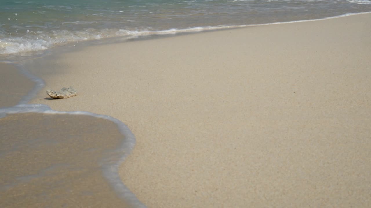 4k: 바다의 부드러운 파도, 복사 공간이있는  모래 해변의 은 물, 휴가 배경 영상을위한 열대 여름 해변