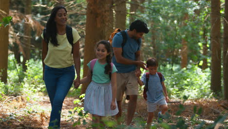 family with backpacks hiking or walking through summer woodland countryside