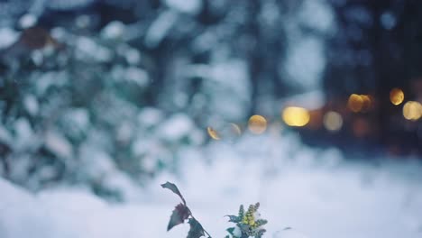 christmas bird flying off a tree with fairy lights in the background