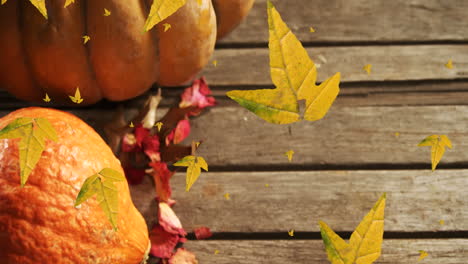 animation of orange autumn leaves falling over pumpkins