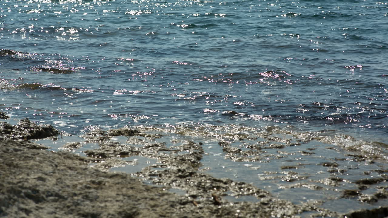 에스 트렌스 비치 01