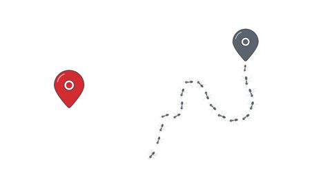 Ants colony path route animation with location pins