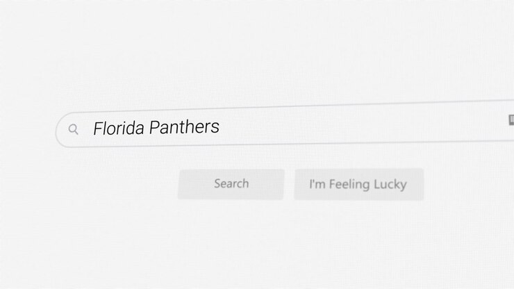 Searching for Florida Panthers on Internet browser