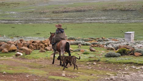 agricultor de lesotho monta a caballo, conduciendo a su perro por un prado verde y escarpado