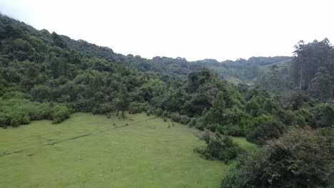 bosque reservado de kookal, en el distrito de kodaikanal, tamil nadu, india