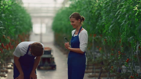 un equipo de empresarios discute el cultivo de verduras en una plantación de tomate