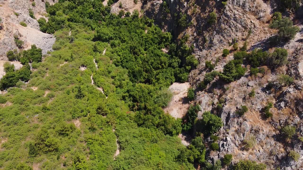 toma aérea de arriba hacia abajo de árboles verdes y formación rocosa en el valle