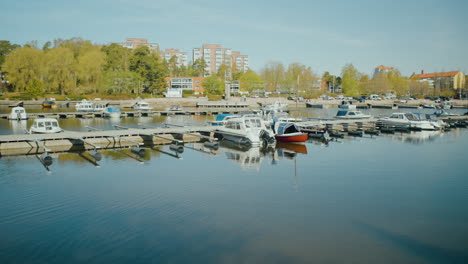 Kotka-De-Finlandia-En-El-Mes-De-Mayo