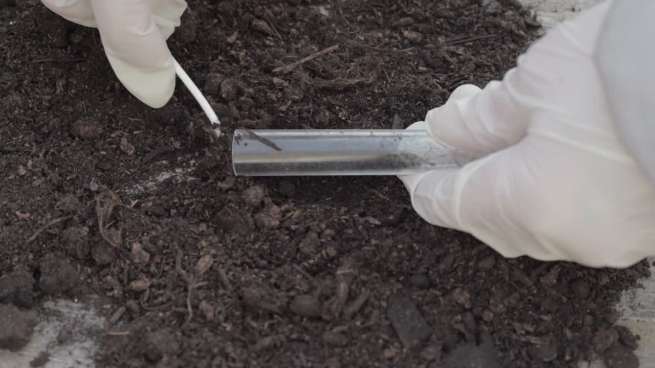 Using a test tube to collect soil sample