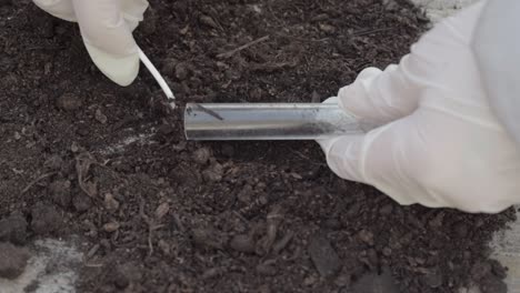 using a test tube to collect soil sample