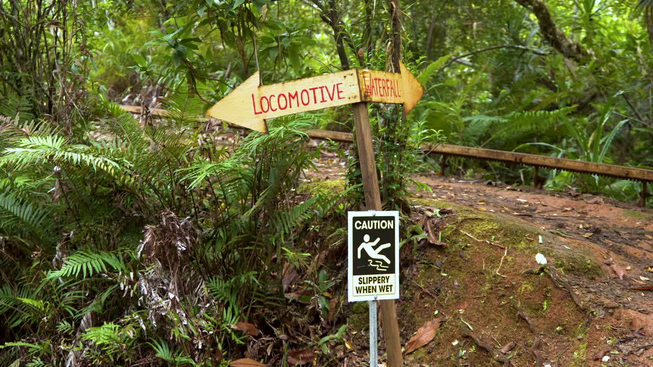 Inquadratura media statica di segnaletica per sentieri e marcatori di pericolo in legno in una lussureggiante foresta tropicale