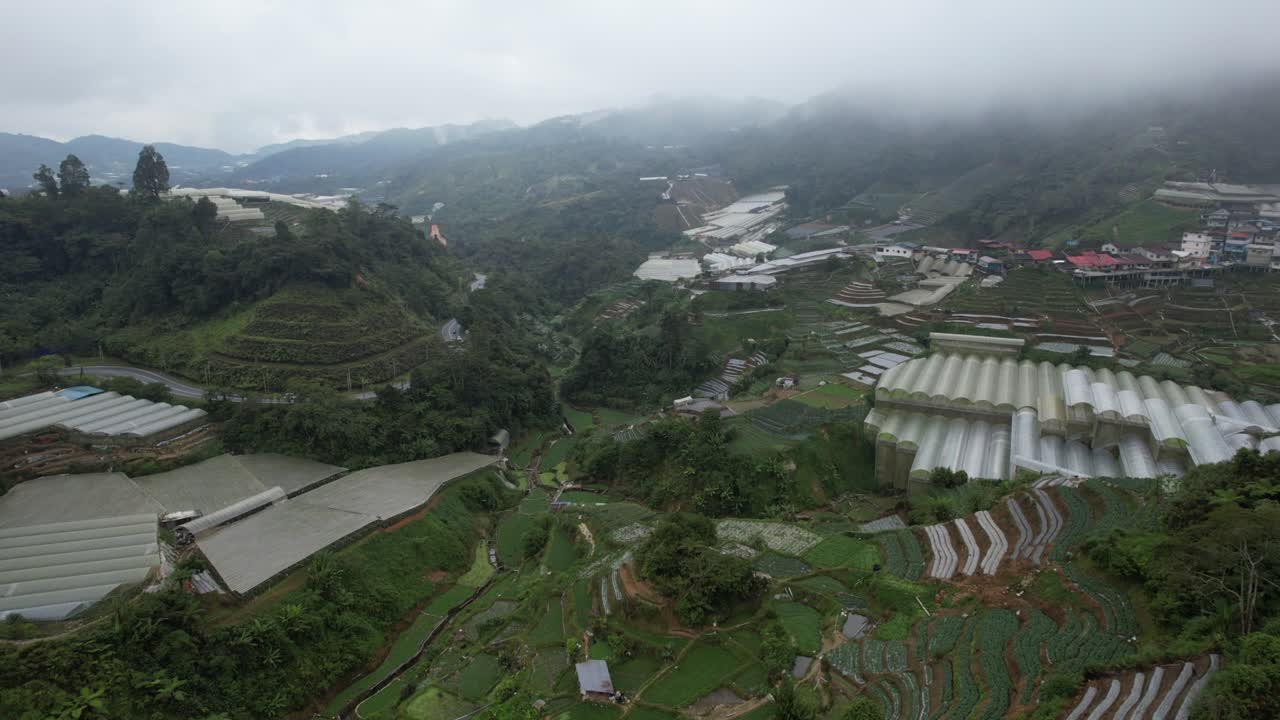 vista general del paisaje del distrito de brinchang dentro del área de cameron highlands de malasia