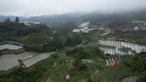 general landscape view of the brinchang district within the cameron highlands area of malaysia