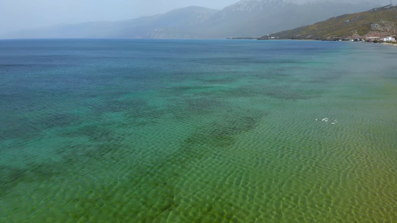 Colorful Ohrid lake shore with shallow clear water and birds near touristic village of Tushemisht in Albania