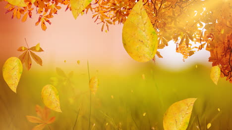 animación de hojas que caen sobre el paisaje de otoño