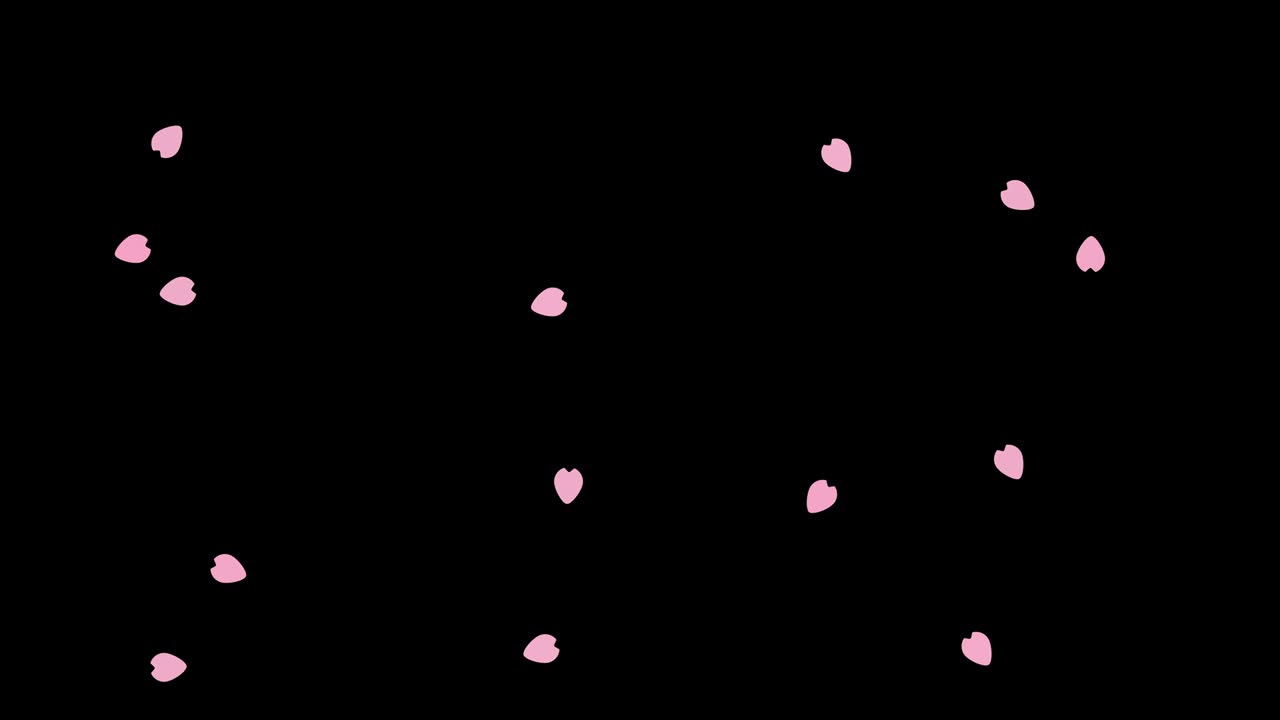 춤추는 체리 꽃 애니메이션 검은 바탕