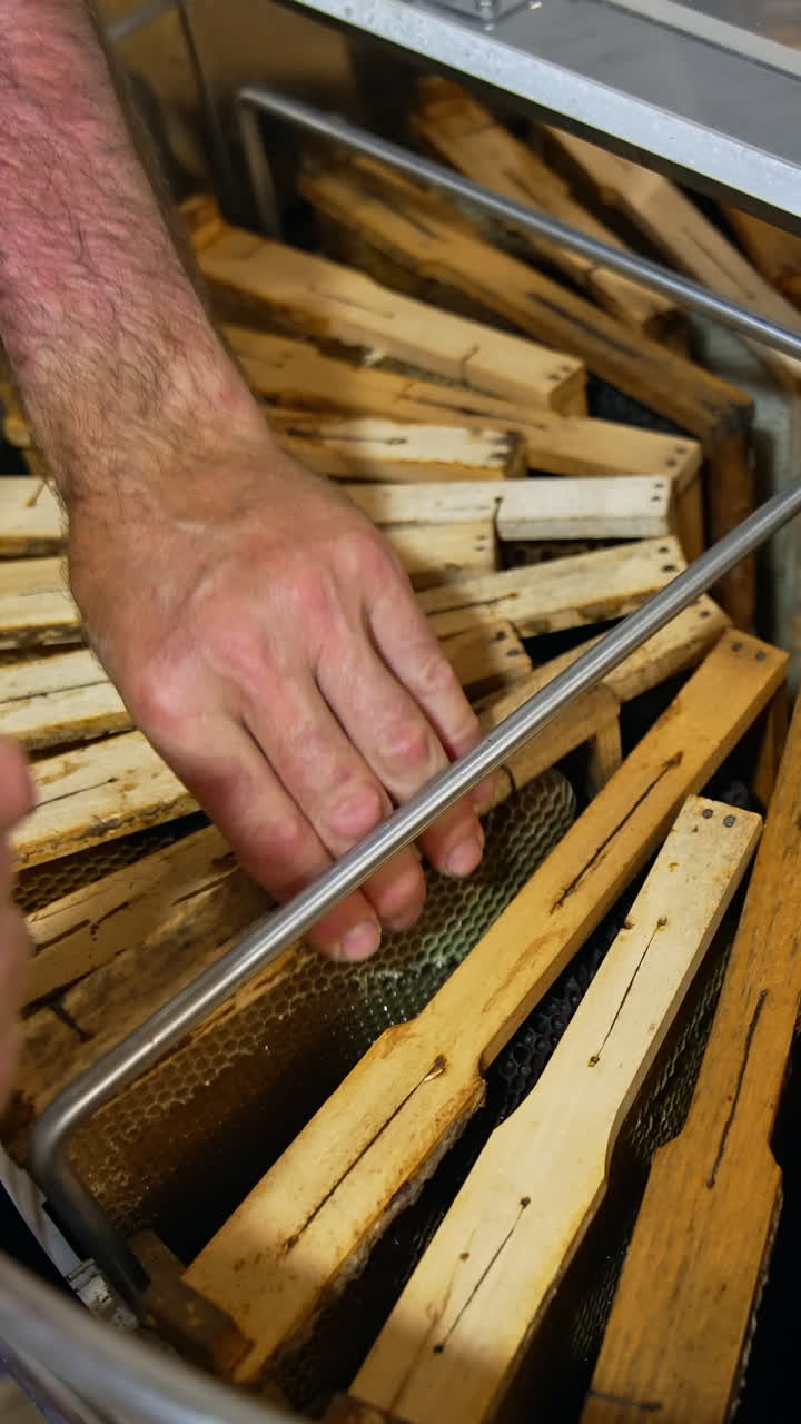 Beekeeper extracting honey from frames