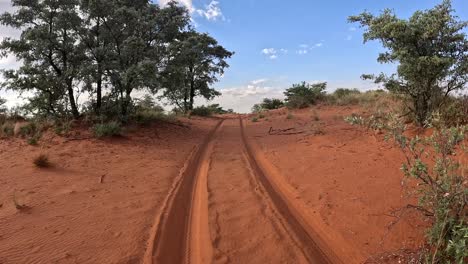 Eine-Zeitreise-Eines-Safarifahrzeugs,-Das-Durch-Das-Wunderschöne-Buschland-Der-Südlichen-Kalahari-Fährt.-Eine-üppige-Savannenlandschaft-Zieht-Vorbei,-Während-Das-Fahrzeug-Auf-Eine-Sanddüne-Fährt