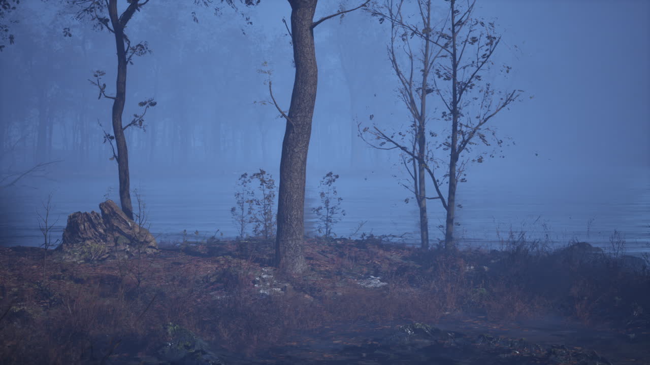 Eerie fog covered landscape with bare trees along a lake at dusk