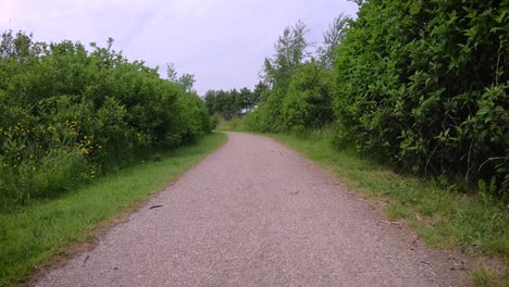 Passage-along-the-path-in-the-park-between-the-bushes