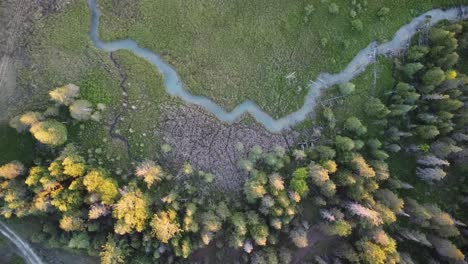 Aerial-Golden-Hour-Stream-and-Forest-Top-Down-Ascent