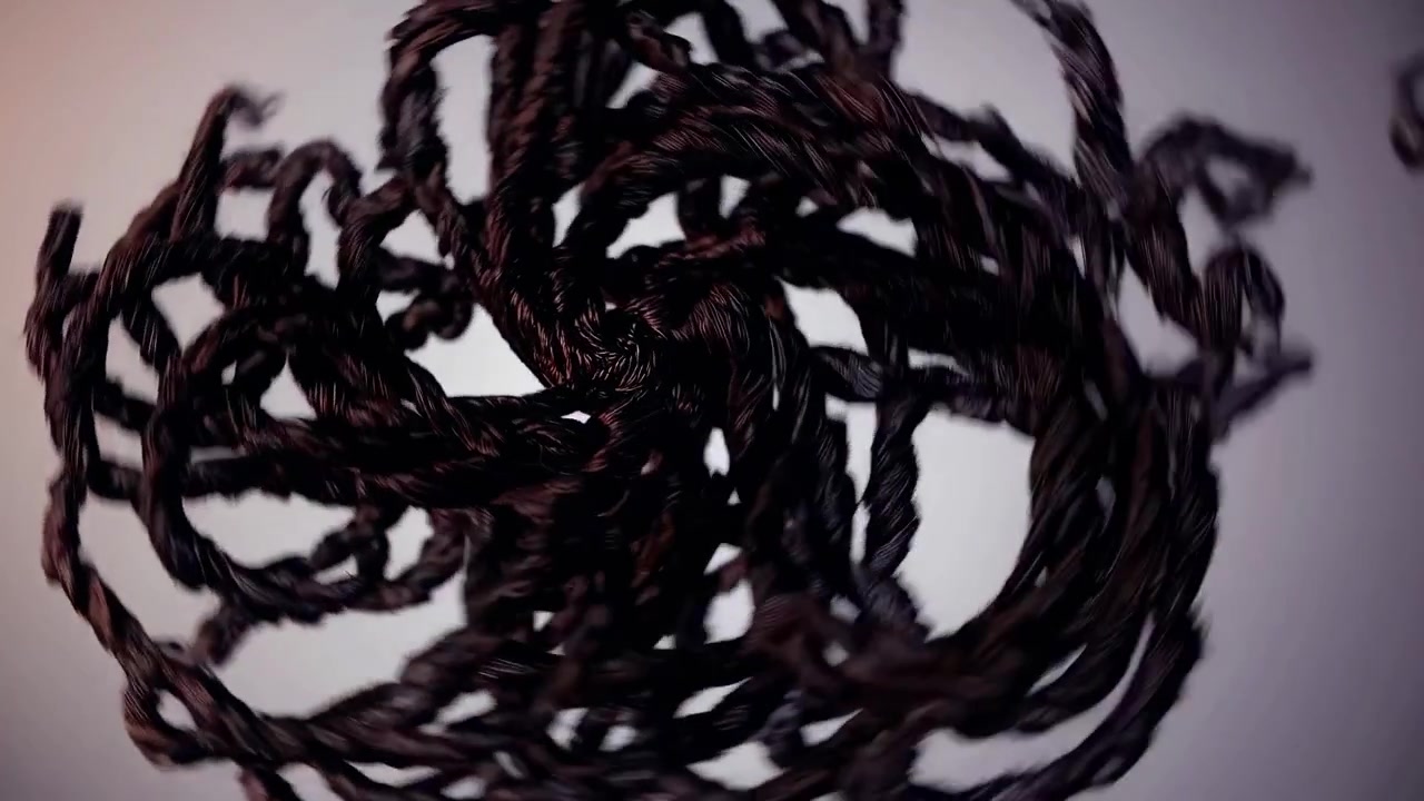 Dynamic 3D Animation of Tangled Dark Ropes Spinning