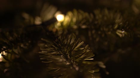 abeto real de cerca con luces de hadas en el fondo
