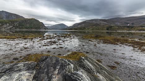 the exposed sandy bottom of the fjord at the low tide covered with seaweed and kelp in a timelapse video