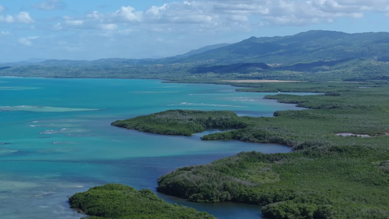hermosos manglares desde el aire, agua tropical turquesa, estableciendo un gran ángulo, volar sobre