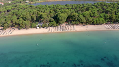 Aerial-view-of-a-tropical-pristine-organised-beach-with-turquoise-crystal-clear-water-next-to-lush-pine-tree-forest