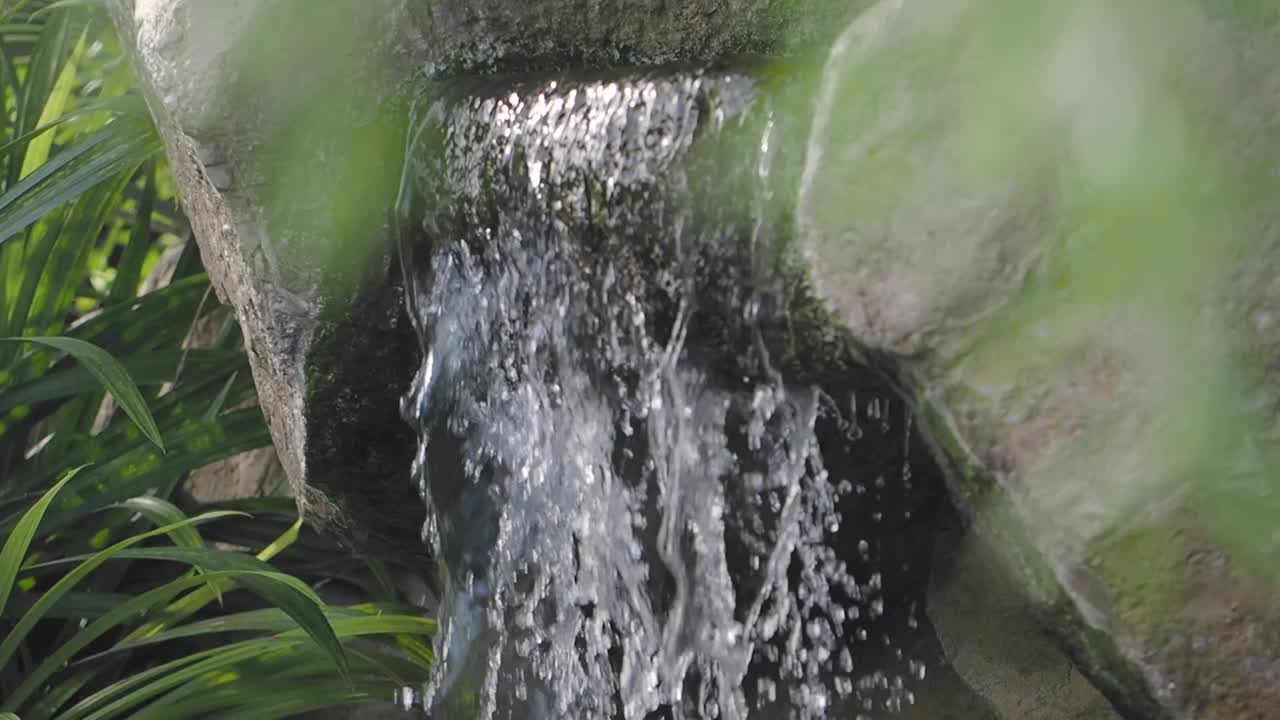Waterfall with Greenery