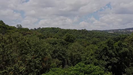 Drone-Aéreo-Inclinado-Hacia-Adelante-Filmado-En-Un-Denso-Bosque-Lleno-De-árboles-En-Estados-Unidos,-Durante-El-Día-Con-Muchas-Nubes-En-El-Cielo