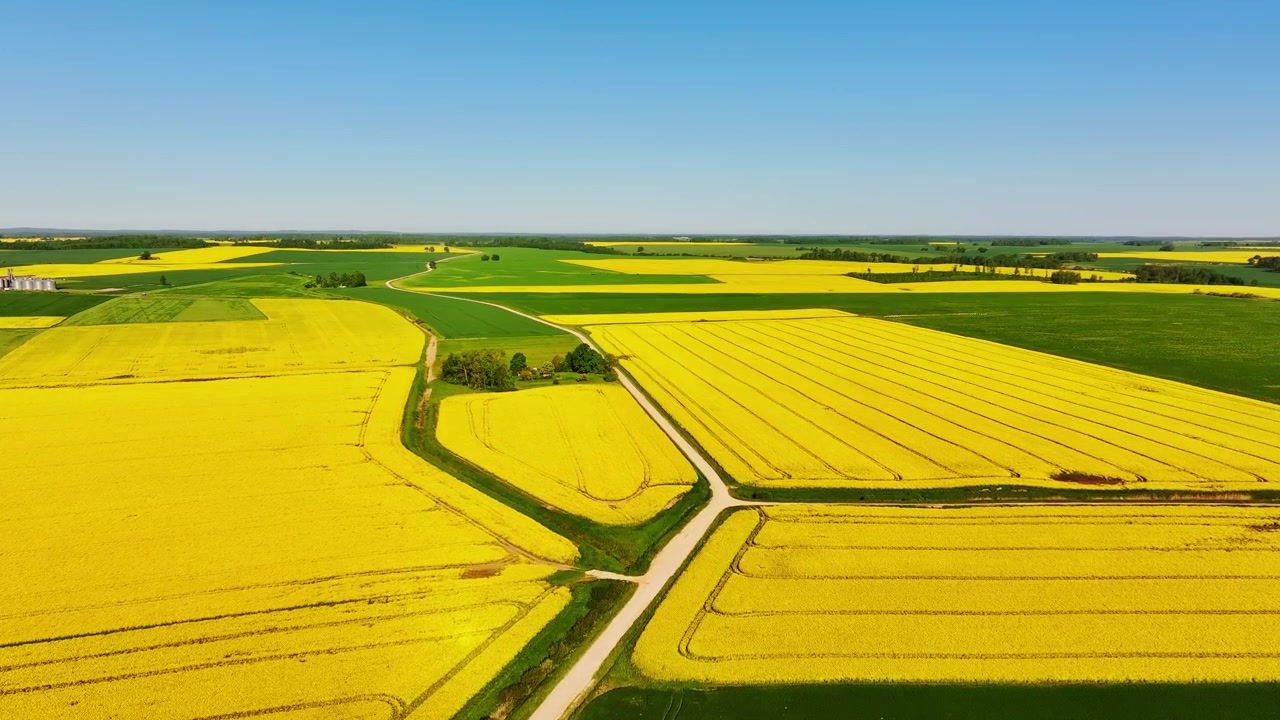 Bright agricultural landscape in Latvia, yellow and green fields under blue sky
