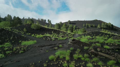 unusual landscape with lava floor and luxuriant vegetation natural contrast between gray and green , dark peaks